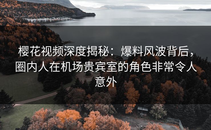 樱花视频深度揭秘:爆料风波背后,圈内人在机场贵宾室的角色非常令人意外 樱花视频深度揭秘:爆料风波背后,圈内人在机场贵宾室的角色非常令人意外